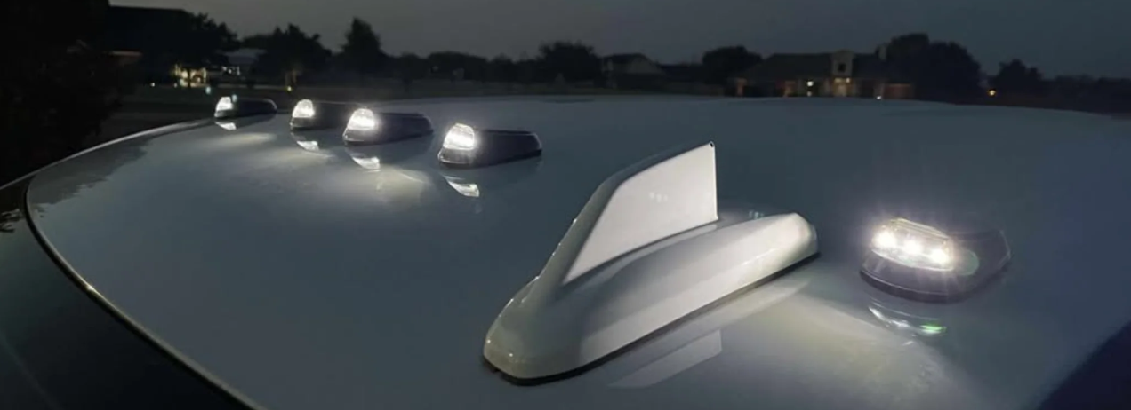 Luxury fashion collection