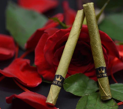 King Palm Slim Pre-Rolled Blunt Wraps