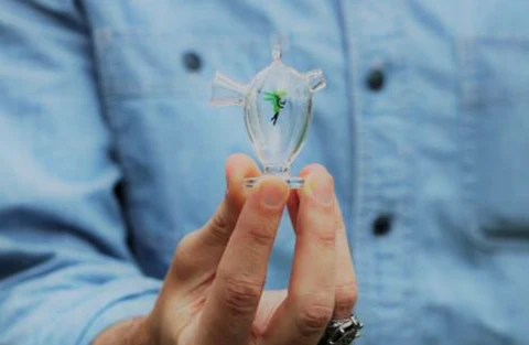 MJ Arsenal Martian Blunt/Joint Bubbler Filter