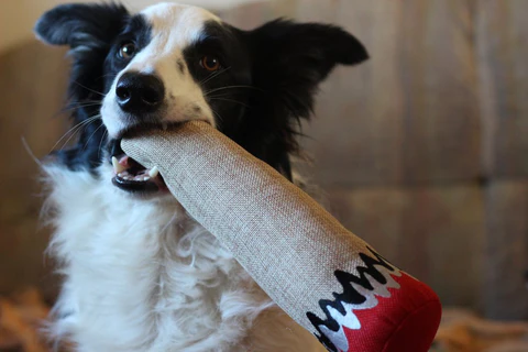 Hemp Joint Dog Toy