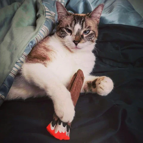 KaliKats Catnip Blunt Cat Toy