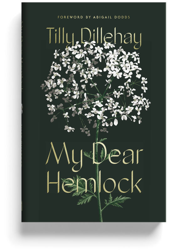 My Dear Hemlock