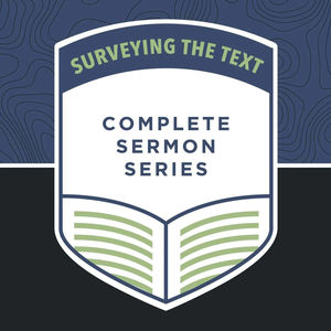 Surveying the Text Complete Set