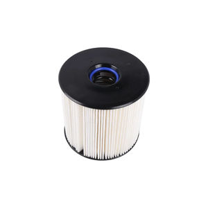 GM Fuel Filter, 2019-2021 L5D