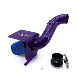 HSP Cold Air Intake, 2011-2016 LML - Powdercoat Color:Illusion Purple