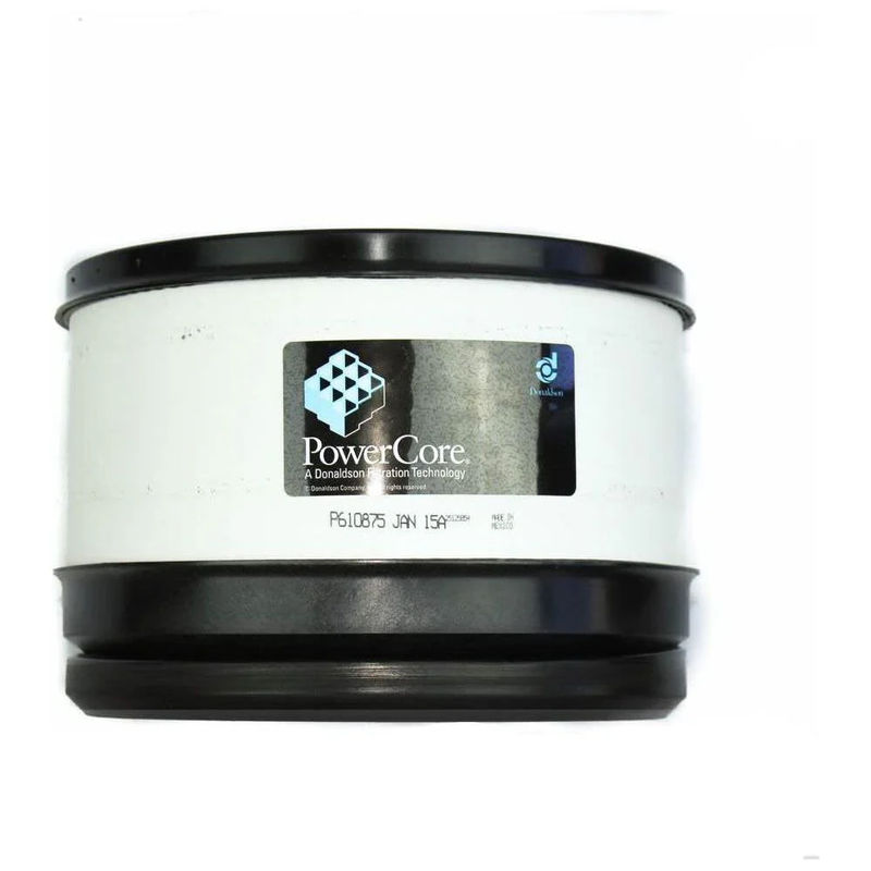 Donaldson OEM Air Filter, 2006-2010 LBZ/LMM