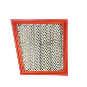 GM OEM Air Filter, 2017-2019 L5P