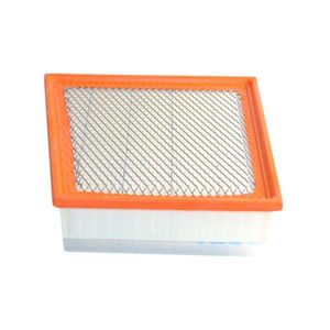 GM OEM Air Filter, 2017-2019 L5P