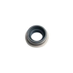 Allison 1000 Shift Shaft Seal, 2001-2015 LB7/LLY/LBZ/LMM/LML