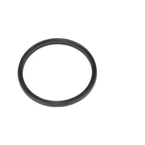 GM Coolant Thermostat Seal, 2001-2024 LB7/LLY/LBZ/LMM/LML/L5P
