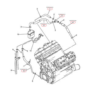 GM PCV Components, 2001 LB7 - Hose:#4 Crankcase Vent Hose Connector (Part# 97213606)