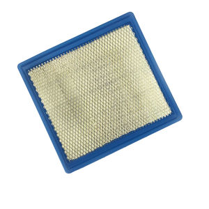 GM OEM Air Filter, 2015-2022 LWN