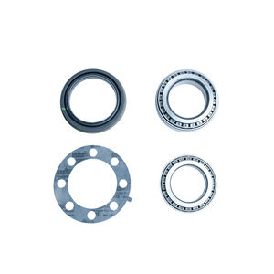 Rear Wheel Bearing Service Kit, 2011-2019 LML/L5P