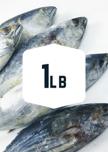 Bonito 1lb - Frozen