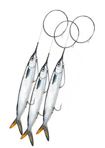 Ballyhoo Wire Rigged 3 pk - Frozen