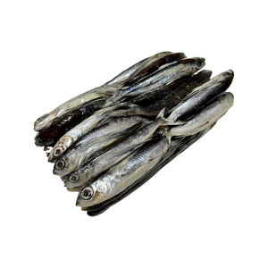 Flying Fish For Bait - Frozen - Quantity:5lb Box