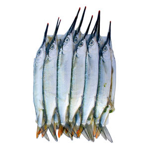 Ballyhoo Mediums 12 pk - Frozen