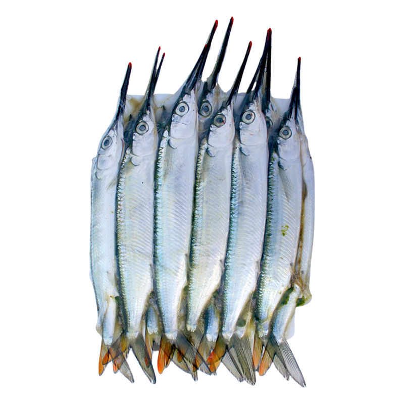 Ballyhoo Mediums 12 pk - Frozen