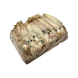 Squid 5lb - Frozen