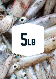Squid 5lb - Frozen