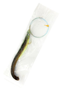 Eel Rigged for Daytime Sword Fishing - Frozen