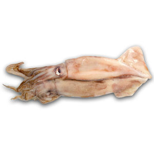 Sword Squid - 2 PK - Frozen