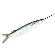 Ballyhoo Selects 6 Pack - Frozen