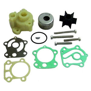 Water Pump  Kit - Sierra