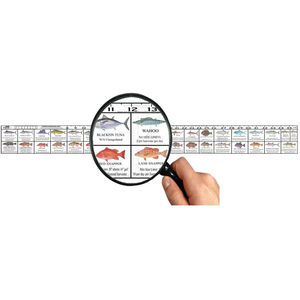 FWC Fish Ruler Florida - Suncoast
