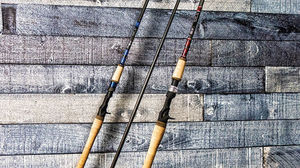 RX7 Multipurpose Saltwater Blanks - Raindshadow - Length:8'10" - Power:Heavy 20-40lb