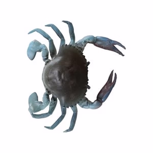 TPE 3D Crab - Savage Gear