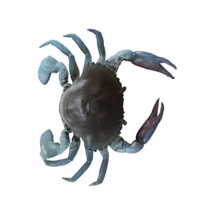 TPE 3D Crab - Savage Gear