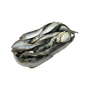 Thread Herring 5 lb - Frozen