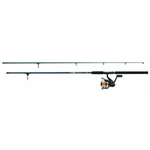 D-Wave Saltwater Combo - Daiwa - Model:11' Medium