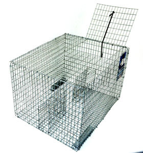 Pinfish Trap - Lee Fisher - Style:Key West Style