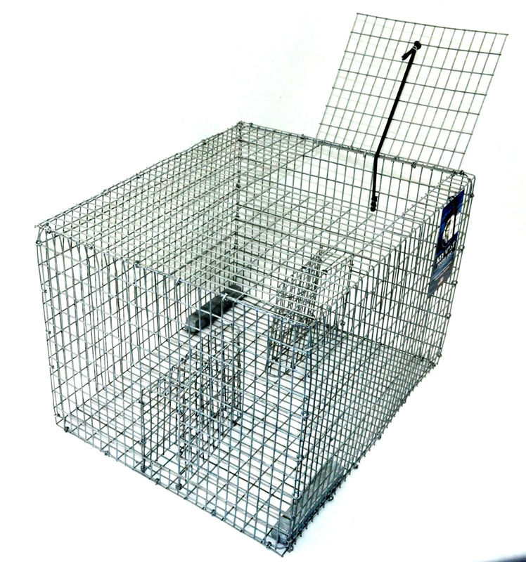 Pinfish Trap - Lee Fisher - Style:Key West Style