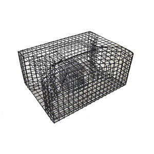 Pinfish Trap - Lee Fisher - Style:Black Mesh Large