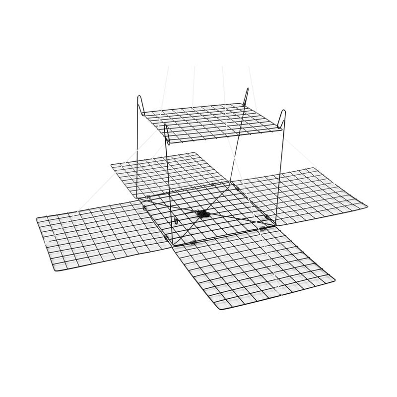 Box Crab Trap - Tsunami